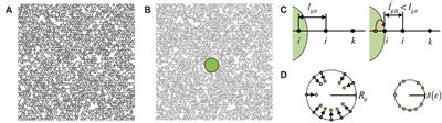 Force Transmission in Disordered Fibre Networks